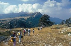 Parco del Pollino Trekking