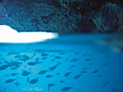 Grotta Azzurra Isola Dino Praia a Mare
